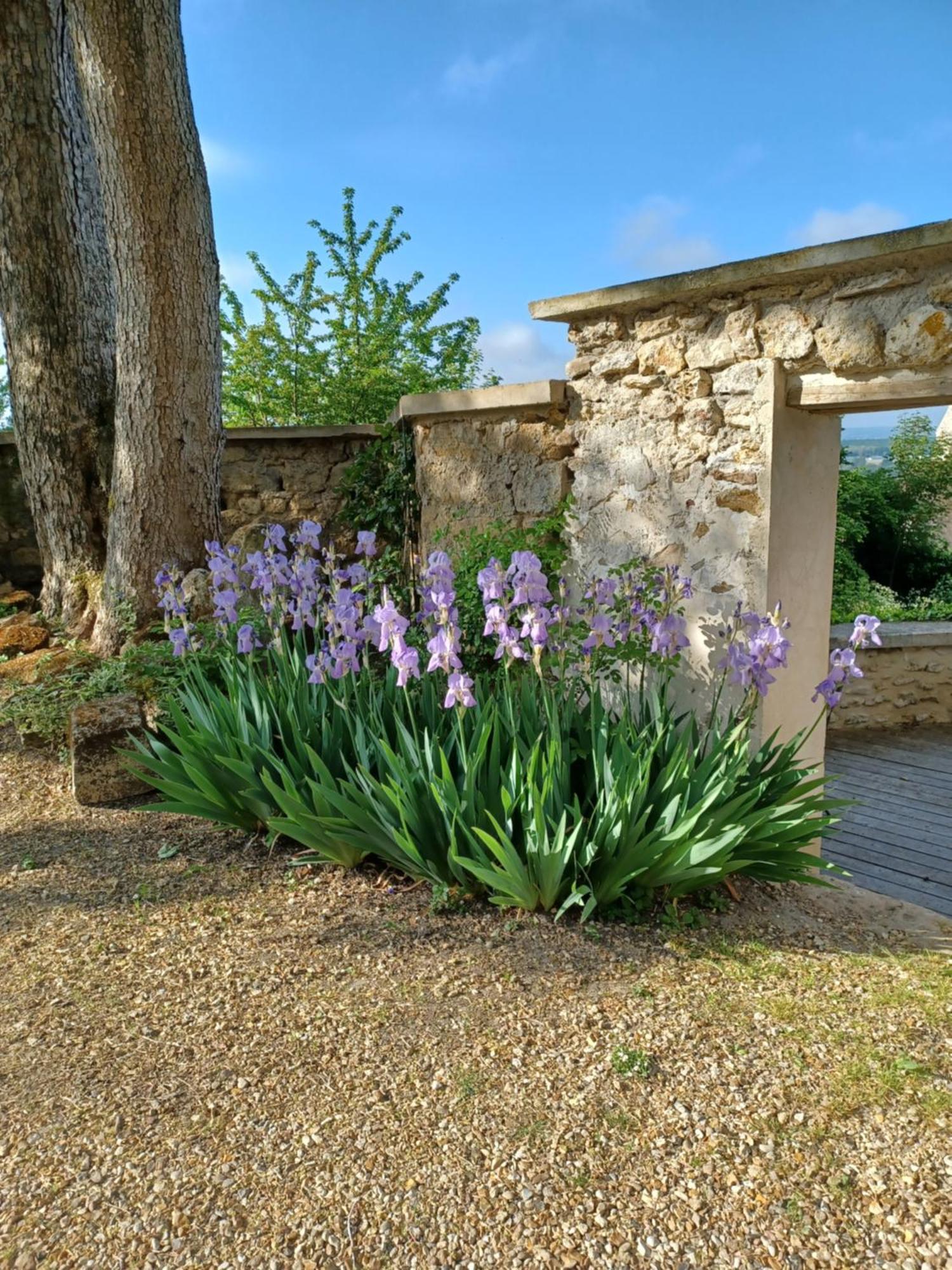 Le Verger Vaux-Sur-Seine Extérieur photo